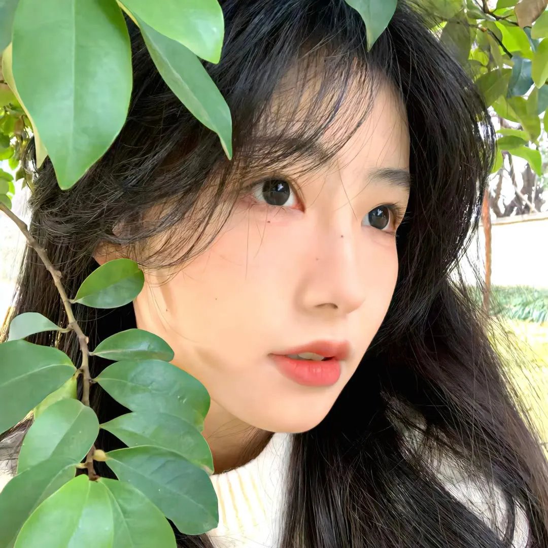 星星的轨道
